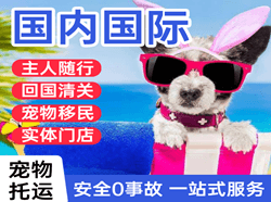 桂林航空邮寄国际宠物托运 【国